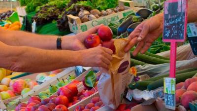 Vers la stratégie nationale pour l'alimentation, la nutrition et le climat (SNANC)